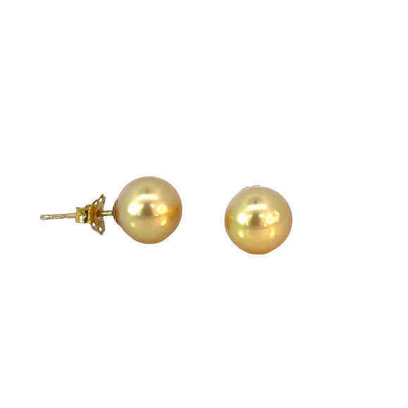 Golden South Sea Pearl Earrings on Yellow Gold