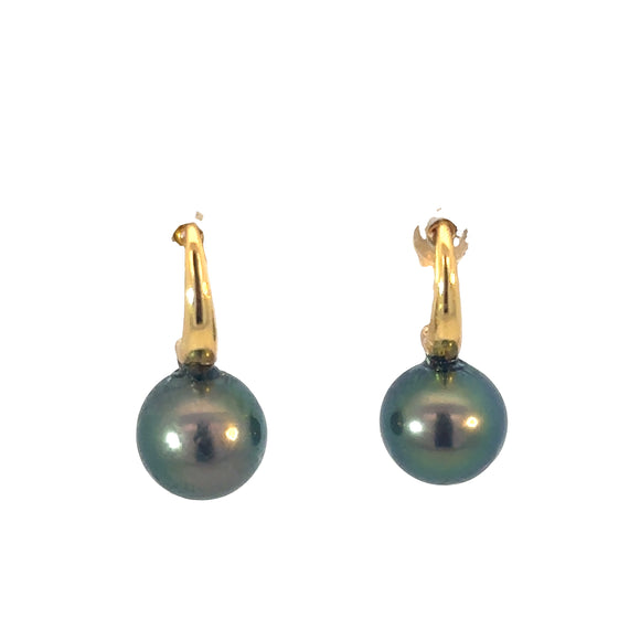 Tahitian Pearl Hook Earrings in 9ct Yellow Gold