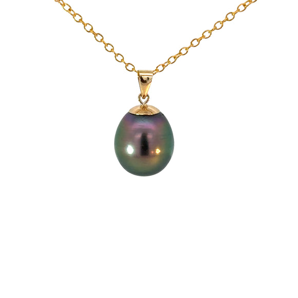 Peacock Tahitian Pearl 9ct Yellow Gold Pendant with Chain