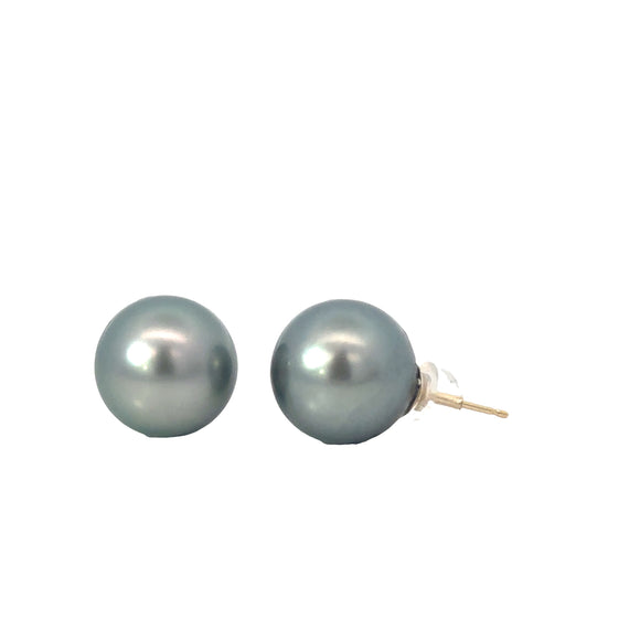 Tahitian Pearl Stud Earrings