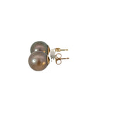 Tahitian Pearl Stud Earrings - 9ct Yellow Gold