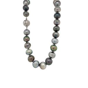 Black South Sea Pearl Necklace