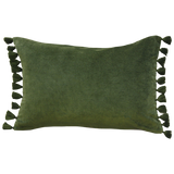 Tassel Edged Velvet Cushion