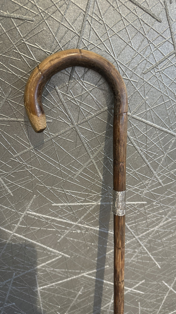 Cane Walking Stick with Silver Band