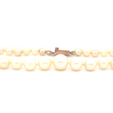 Antique Graduated Cultured  Pearl Necklace with 9ct Gold Clasp