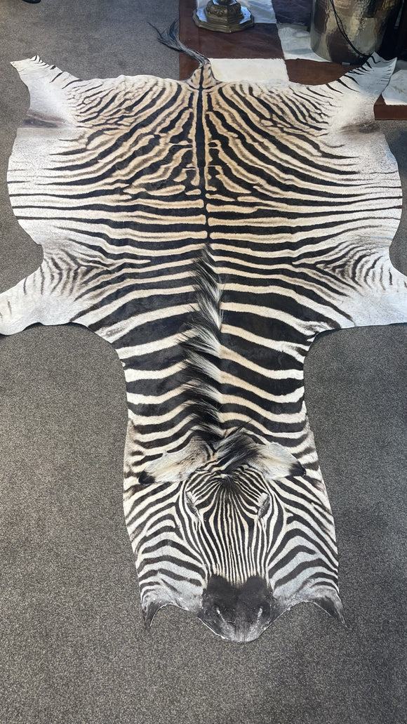 Genuine Zebra Skin