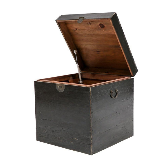 Painted Pine Trunk Box : BLACK